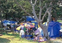 テント持ち込み【宿泊】